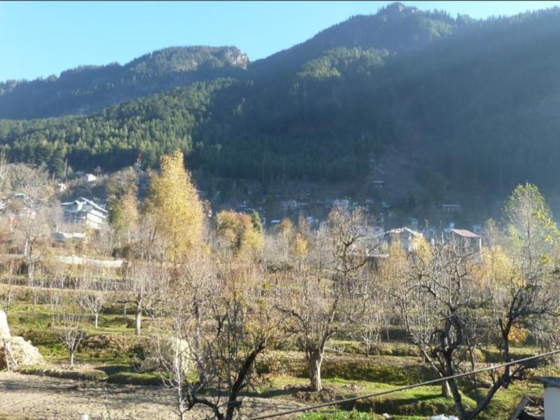 Hotel Mohan Palace Manali (Himachal Pradesh) Bagian luar foto